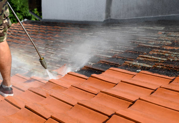 Best Best Pressure Washing Companies  in Lake Hallie, WI