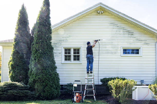 Best Deck Cleaning Services  in Lake Hallie, WI