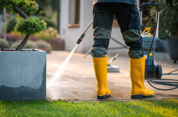 Best Affordable Pressure Washing  in Lake Hallie, WI